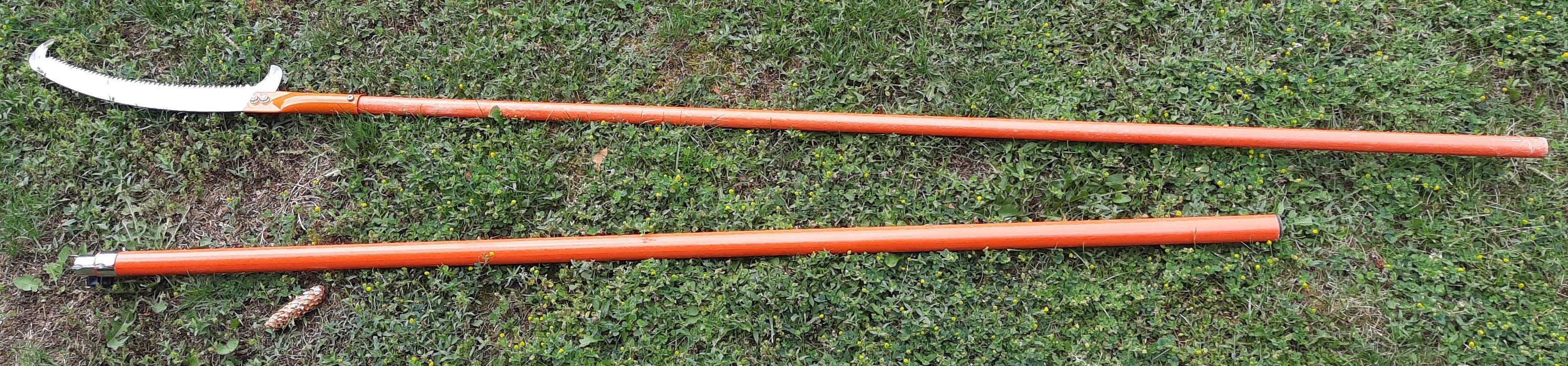 Illustrative example of an extendable pole saw laid on grass